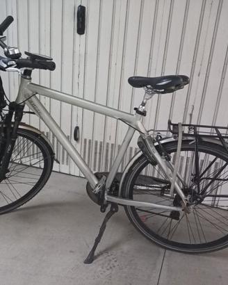 bici uomo Regina da trekking