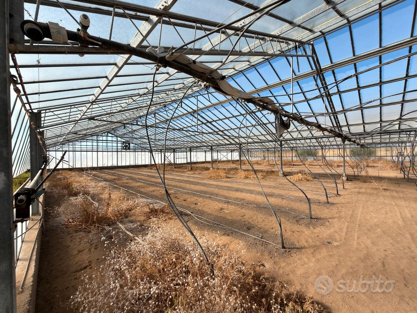 Terreno agricolo con ampia serra e risorsa idrica - Vista 3