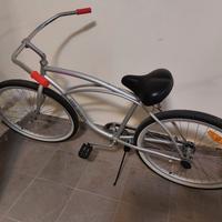 Bici beach cruiser bike