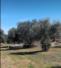 Zona parco di mare