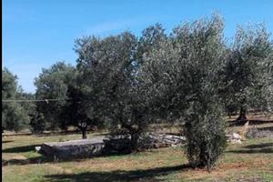 Zona parco di mare
