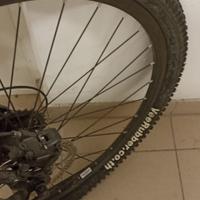 Bicicletta  kawasaki