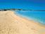 Immagine 7