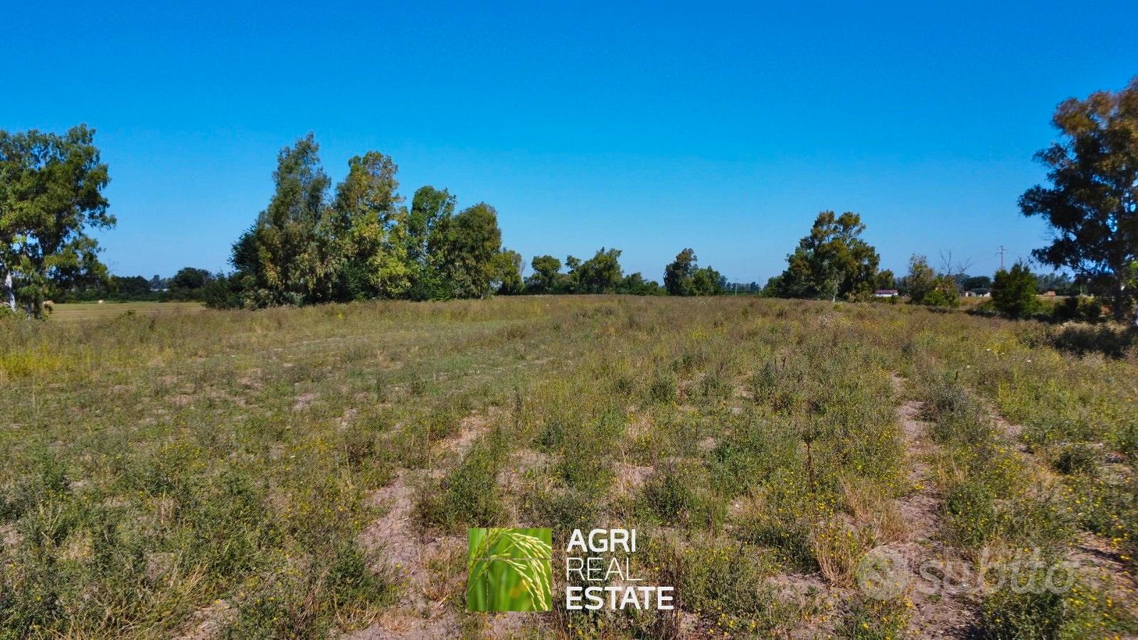 Terreno agricolo 2 ettari fronte strada - Vista 6