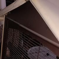 Gabbia per pappagalli