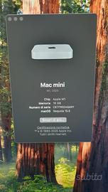 mac mini m1 16gb 256 gb