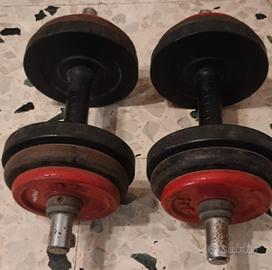 Coppia di manubri 18 kg