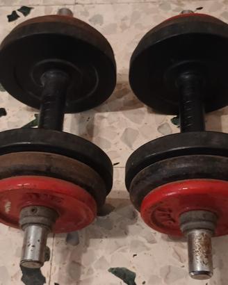 Coppia di manubri 18 kg