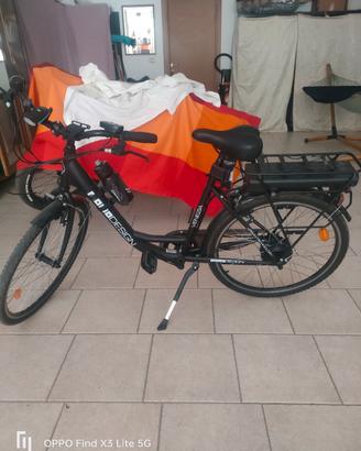 bicicletta elettrica 