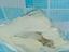 Immagine 6
