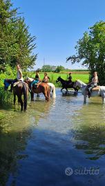 Passeggiate a cavallo