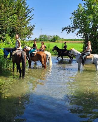 Passeggiate a cavallo