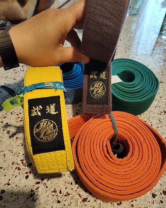 5 cinture karate 