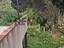 Immagine 26