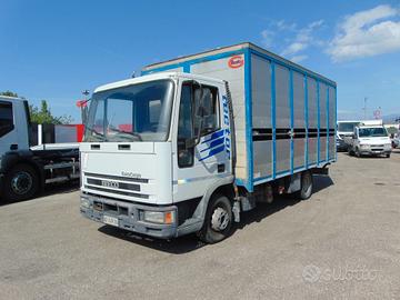 Iveco 75e14 bestiame