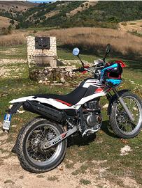 Beta Alp 4.0