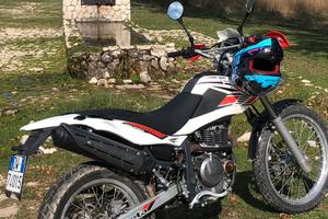 Beta Alp 4.0