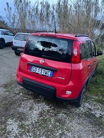 FIAT Panda 3ª serie - 2021