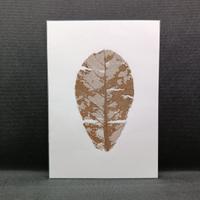 Quadri naturali con CATAPPA Foglia Vera ESSICCATA