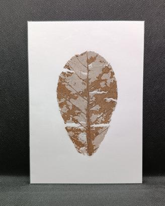 Quadri naturali con CATAPPA Foglia Vera ESSICCATA