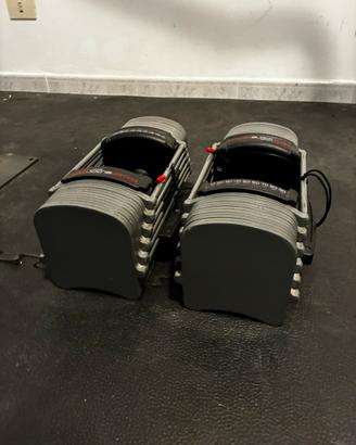PowerBlock Sport EXP regolabili