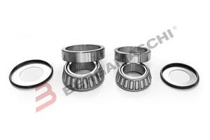 Kit cuscinetti serie sterzo Honda - Triumph