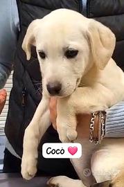 Femminucce e maschietti coccolosi