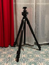 Manfrotto 055PROB  + Testa 498RC2