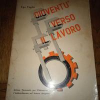 Gioventu' verso il lavoro