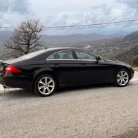 Autista privato e uomo di fiducia