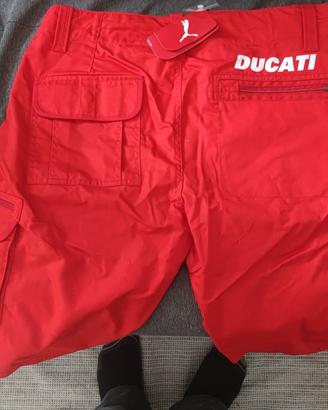 Bermuda cargo Ducati tg 50