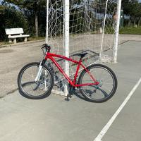 bici MTB professional