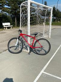 bici MTB professional