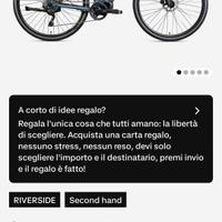 bici assistita riverside 540 e 