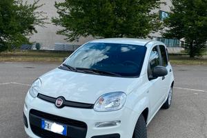 Fiat Panda 1.2 gpl 69cv