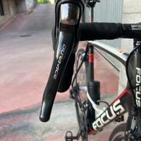 Focus izalco