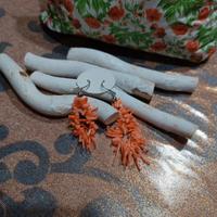 orecchini in corallo e argento 