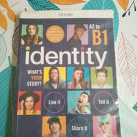 identity a2 to b1