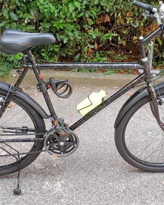 Bicicletta Mountain Bike