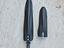 Immagine 6