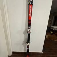 Doberman GSM Nordica 180