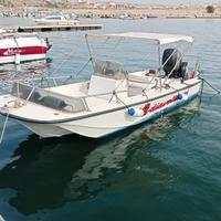 Boston Whaler Newport 17"