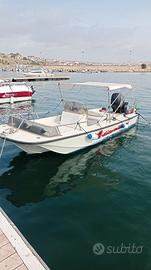 Boston Whaler Newport 17"