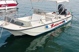 Boston Whaler Newport 17"