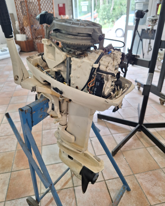 Johnson 25cv