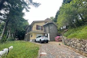 "La casa dei Pini " Varese Ligure