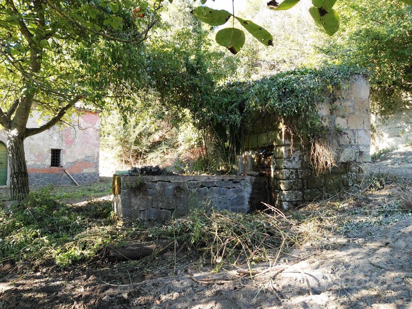 Rustico con terreno - Vista 6