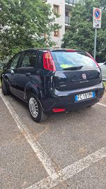 auto punto 1200