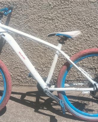 bicicletta MTB