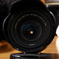 Canon EF-S 18-55mm f4-5.6 is STM